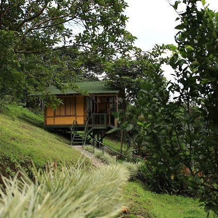 Sonarte Reserva Natural Cordoba  Kültér fotó