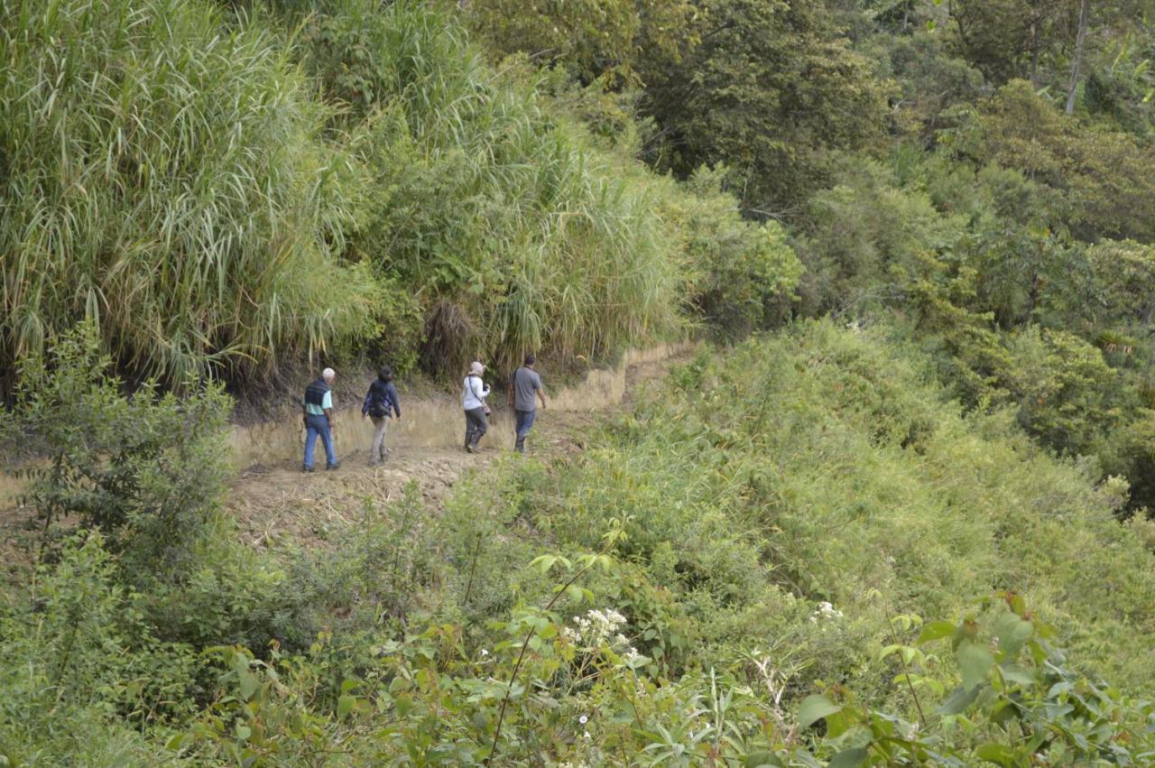 Sonarte Reserva Natural Cordoba  Kültér fotó