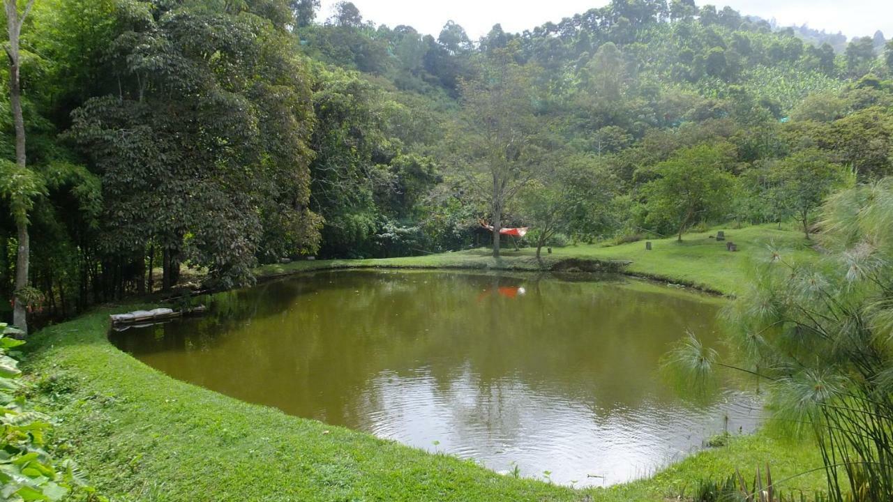 Sonarte Reserva Natural Cordoba  Kültér fotó