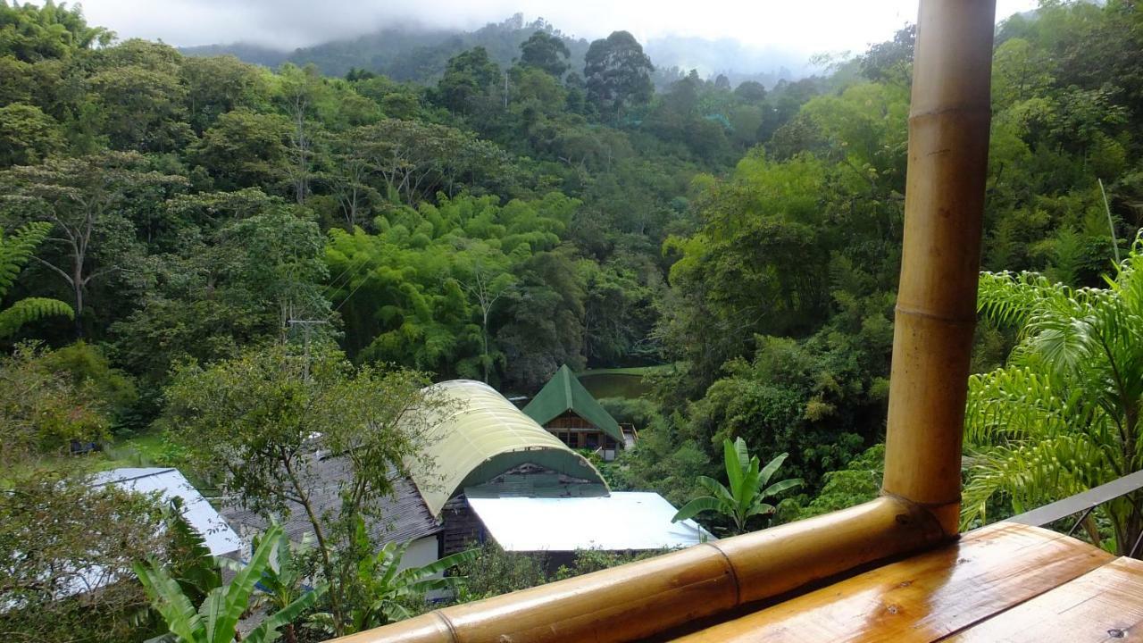 Sonarte Reserva Natural Cordoba  Kültér fotó