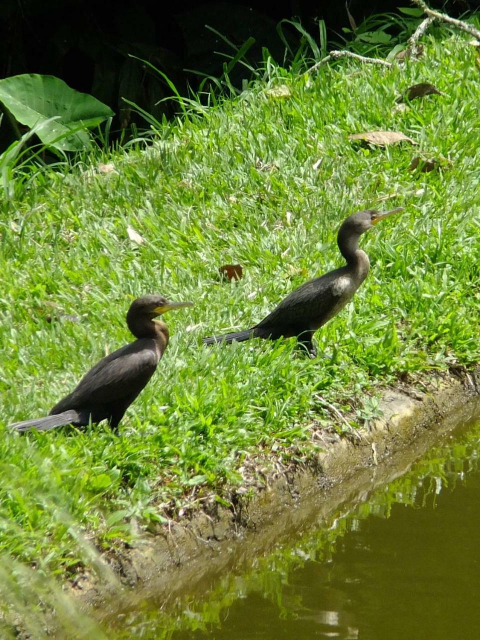Sonarte Reserva Natural Cordoba  Kültér fotó