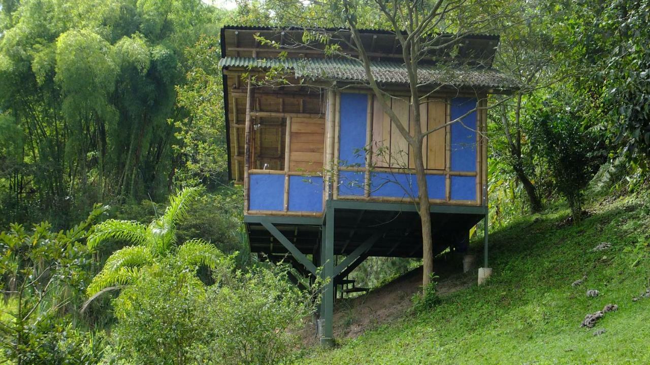 Sonarte Reserva Natural Cordoba  Kültér fotó