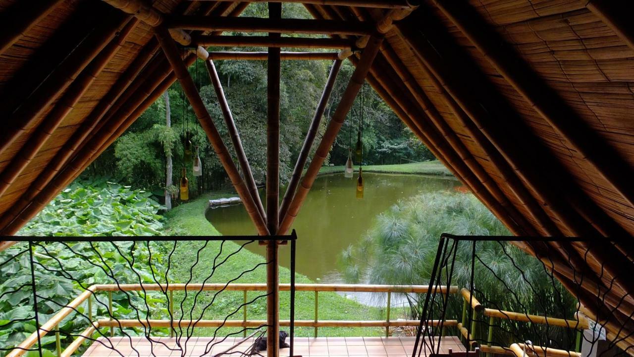 Sonarte Reserva Natural Cordoba  Kültér fotó