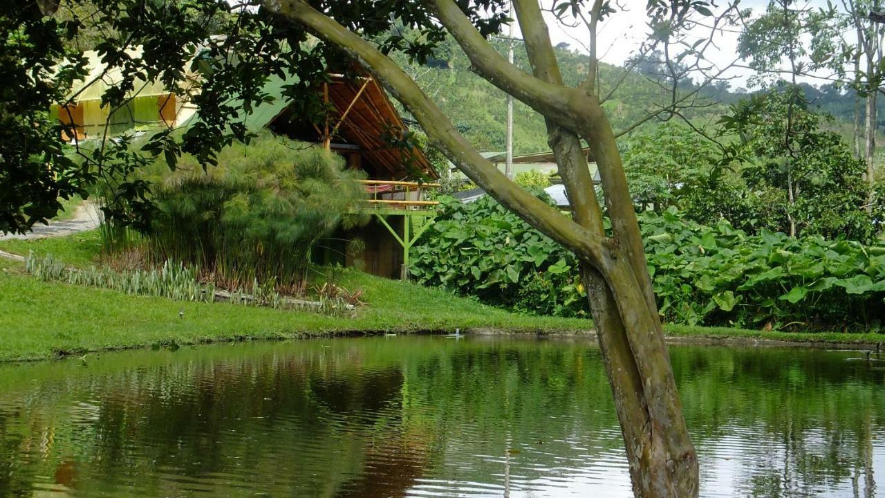 Sonarte Reserva Natural Cordoba  Kültér fotó