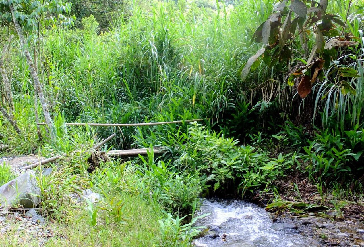 Sonarte Reserva Natural Cordoba  Kültér fotó